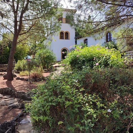 Casas Rurales Los Algarrobales El Gastor Eksteriør billede