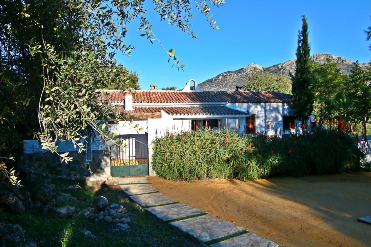 Casas Rurales Los Algarrobales El Gastor Eksteriør billede