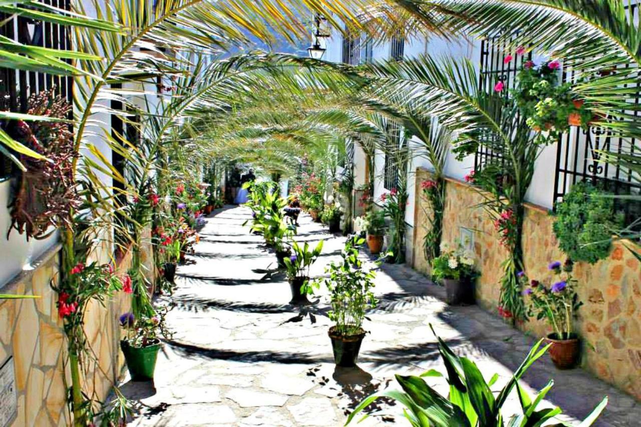 Casas Rurales Los Algarrobales El Gastor Eksteriør billede