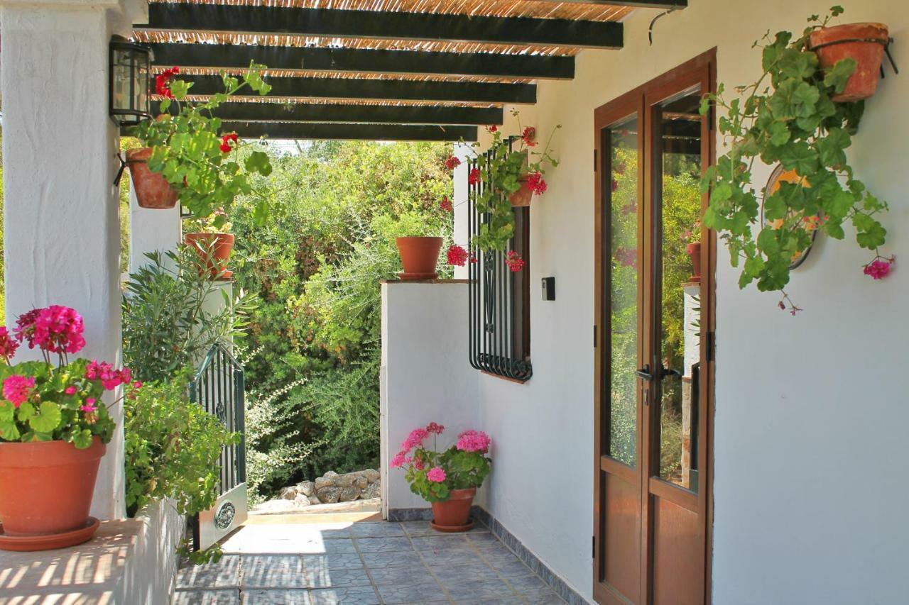 Casas Rurales Los Algarrobales El Gastor Eksteriør billede