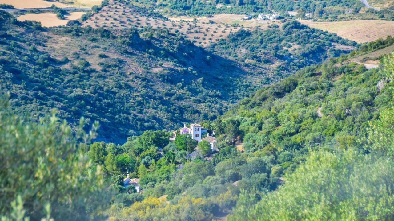 Casas Rurales Los Algarrobales El Gastor Eksteriør billede